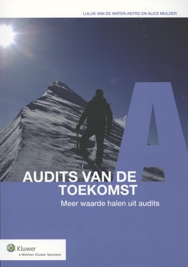 Afbeelding van Audits van de toekomst