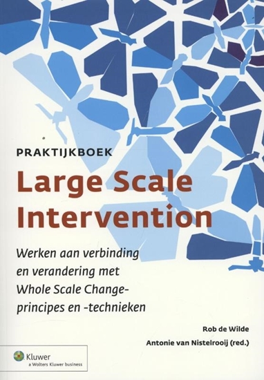 Afbeelding van Praktijkboek large scale intervention
