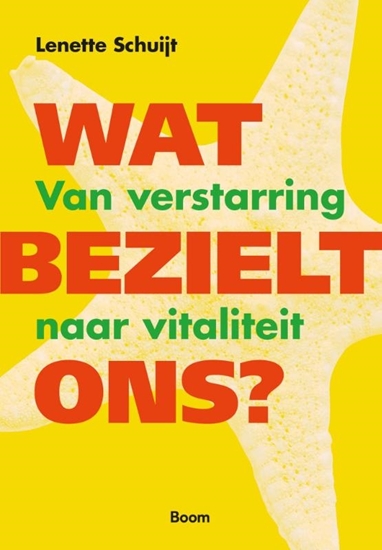 Afbeelding van Wat bezielt ons?