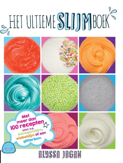 Afbeelding van Het slijmboek