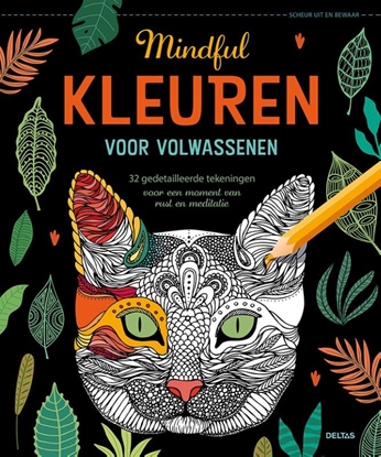Afbeeldingen van Mindful kleuren voor volwassenen