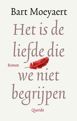 Afbeeldingen van Het is de liefde die we niet begrijpen