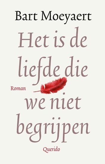 Afbeelding van Het is de liefde die we niet begrijpen