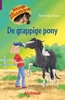 Afbeelding van Manege de Zonnehoeve De grappige pony