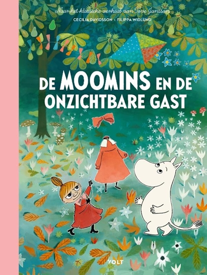 Afbeelding van De Moomins en de onzichtbare gast
