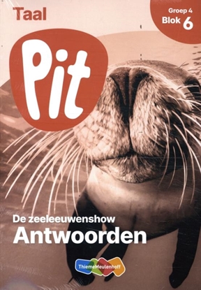 Afbeeldingen van Pit Taal groep 4 blok 6 Antwoordenboek