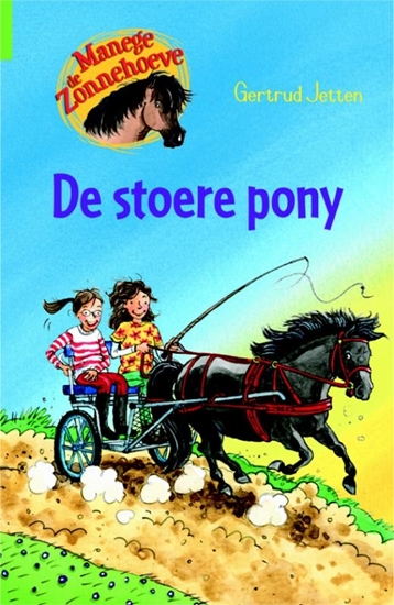 Afbeelding van Manege de Zonnehoeve De stoere pony