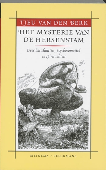 Afbeelding van Het mysterie van de hersenstam