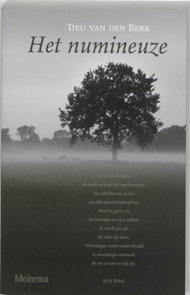 Afbeeldingen van Het numineuze