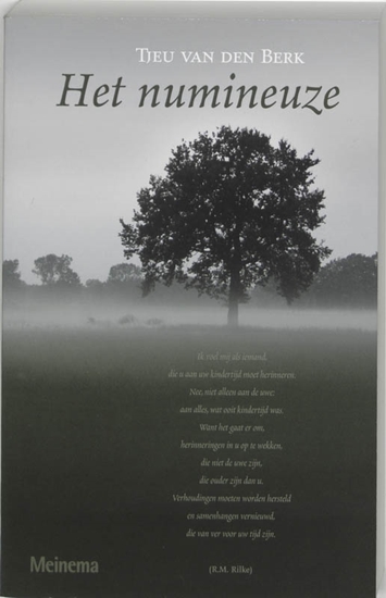 Afbeelding van Het numineuze