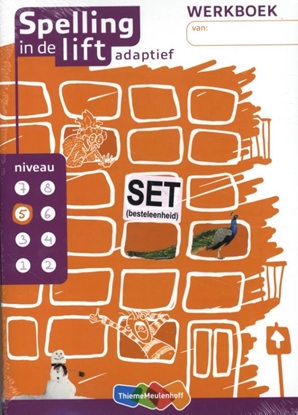 Afbeeldingen van Spelling in de lift adaptief (set van 5) niveau 5 Werkboek