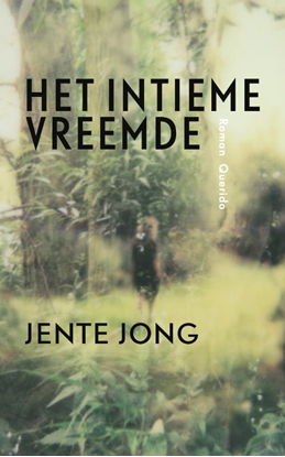 Afbeeldingen van Het intieme vreemde