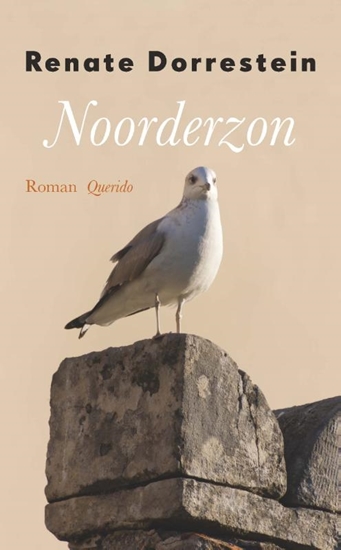 Afbeelding van Noorderzon