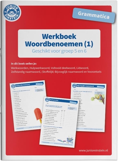 Afbeelding van Grammatica Woordbenoemen (1) Geschikt voor groep 5 en 6 Werkboek