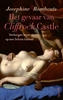 Afbeelding van Cliffrock Castle Het gevaar van Cliffrock Castle