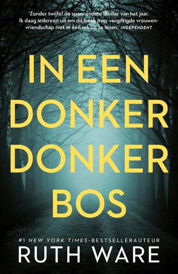 Afbeelding van In een donker, donker bos