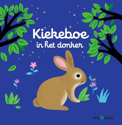 Afbeeldingen van Kiekeboe in het donker