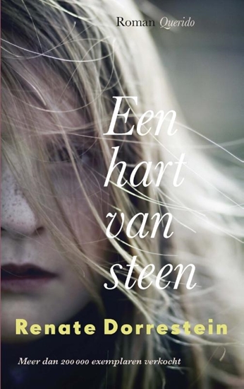 Afbeelding van Een hart van steen