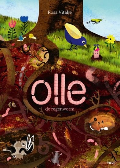 Afbeelding van Olle de regenworm