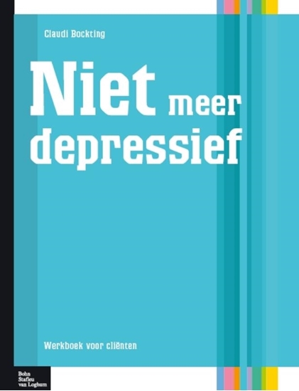 Afbeelding van Protocollen voor de GGZ Niet meer depressief