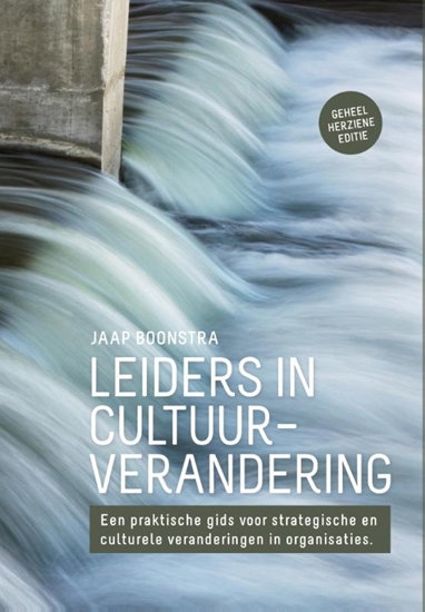 Afbeelding van Leiders in cultuurverandering
