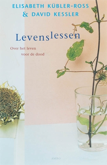 Afbeelding van Levenslessen
