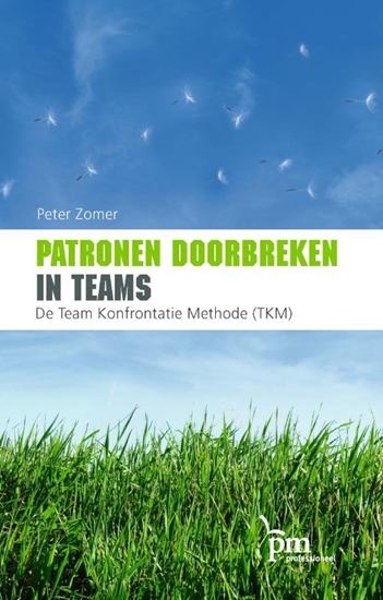 Afbeelding van PM-reeks Patronen doorbreken in teams