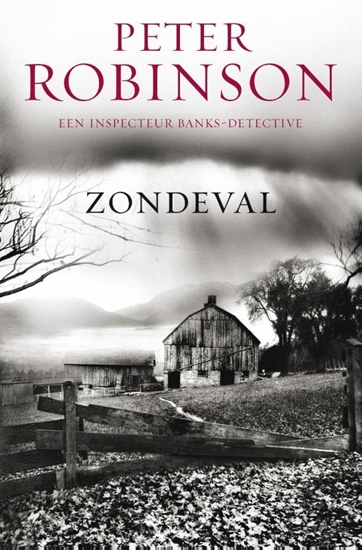 Afbeelding van DCI Banks Zondeval