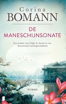 Afbeeldingen van De maneschijnsonate