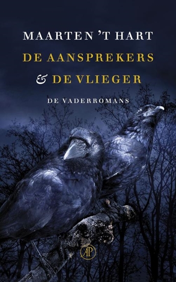Afbeelding van De aansprekers & De vlieger
