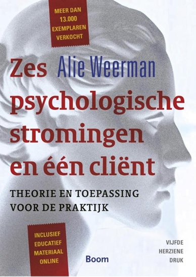 Afbeelding van Zes psychologische stromingen en één cliënt