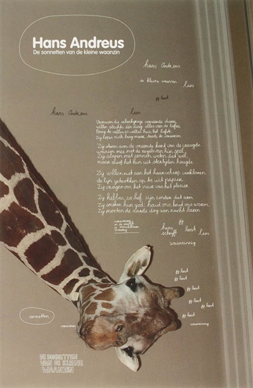 Afbeelding van De sonnetten van de kleine waanzin