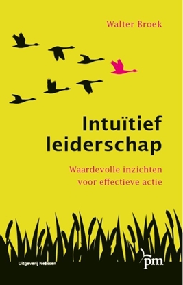 Afbeeldingen van Intuïtief leiderschap