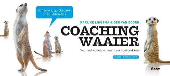 Afbeelding van Coachingwaaier