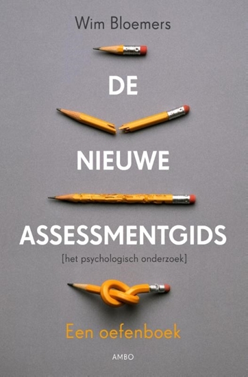 Afbeelding van De nieuwe assessmentgids