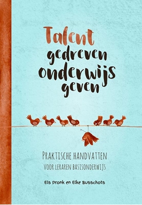 Afbeeldingen van Talentgedreven onderwijs geven