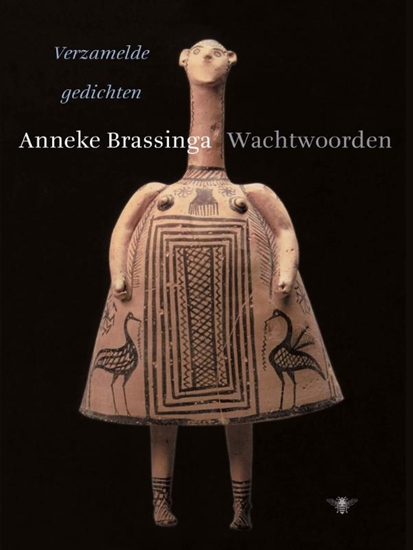 Afbeelding van Wachtwoorden