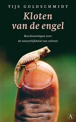 Afbeeldingen van Kloten van de engel