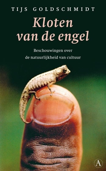 Afbeelding van Kloten van de engel
