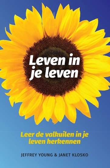 Afbeelding van Leven in je leven