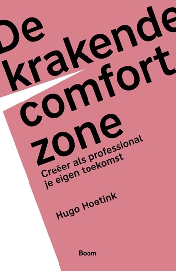 Afbeelding van De krakende comfortzone
