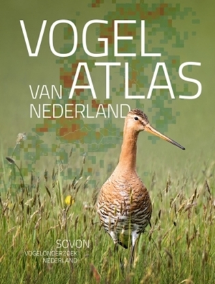 Afbeeldingen van Vogelatlas van Nederland