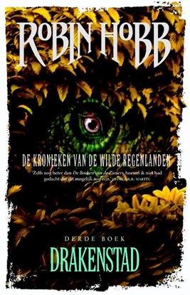Afbeeldingen van De kronieken van de wilde regenlanden Drakenstad