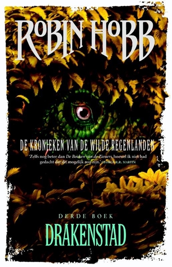 Afbeelding van De kronieken van de wilde regenlanden Drakenstad