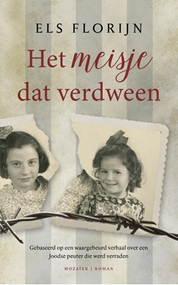 Afbeeldingen van Het meisje dat verdween
