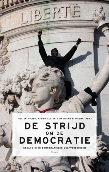 Afbeelding van De strijd om de democratie