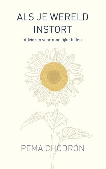 Afbeelding van Als je wereld instort