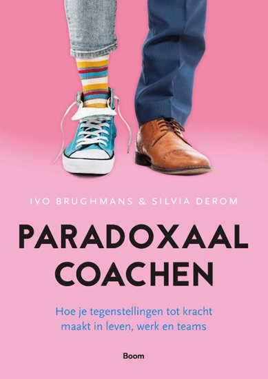 Afbeelding van Paradoxaal coachen