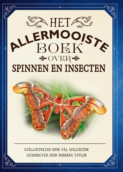 Afbeelding van Allermooiste boeken Het allermooiste boek over spinnen en insecten