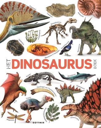 Afbeeldingen van Het dinosaurusboek